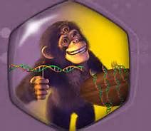 Image - DNA Productions.jpg - Jimmy Neutron Wiki