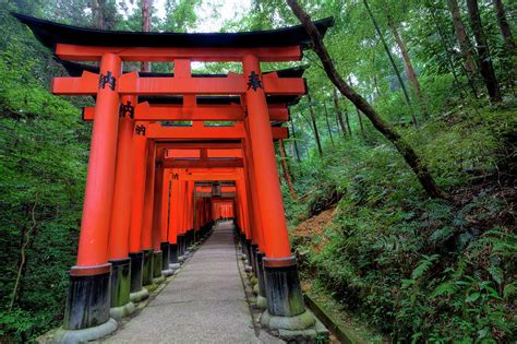 Japan, Kyoto Torii Gates Photograph by Jaynes Gallery