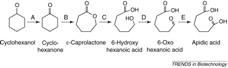 Biocatalysis: applications and potentials for the chemical industry ...