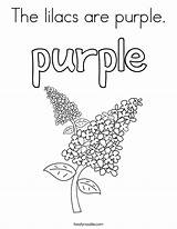The Lilacs Are purple Coloring Page  Twisty Noodle sketch template