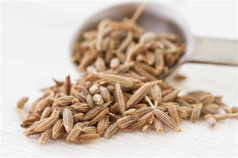 Cumin vs. Coriander: What's the Difference? - PreparedCooks.com