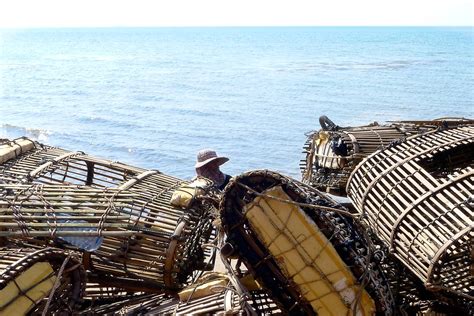 Kep crab market | Cambodia | oh contraire | Flickr