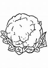 Coloring Pages  Cauliflower Head Page sketch template