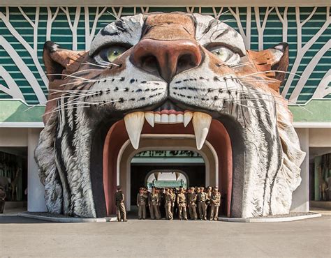 Bewildering photographs from inside a North Korean zoo | Pictures ...