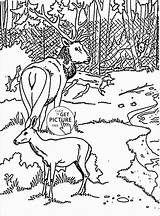 Zoo Animals Coloring Pages Amazing Animal Free  sketch template