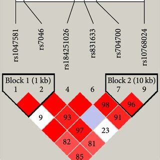 Linkage disequilibrium plot for the SNPs of CD59 gene. Note: (a ...