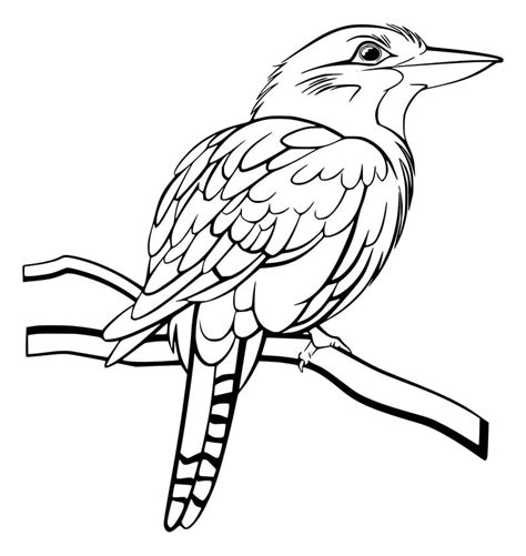 Free Kookaburra Coloring Page - Free Printable Coloring Pages for Kids