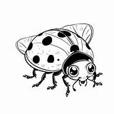 31 Dibujos Para Colorear De mariquitas  Descargar Imprimir O sketch template