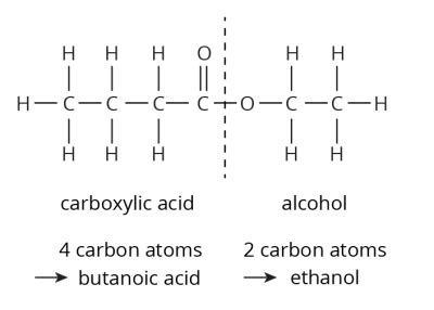 Carboxylic Acids: Understanding the Chemistry Behind These Compounds