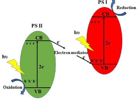 Schematic illustration of typical Z-scheme photocatalytic systems ...