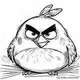 Angry Bird Coloring Pages  Free & Printable sketch template