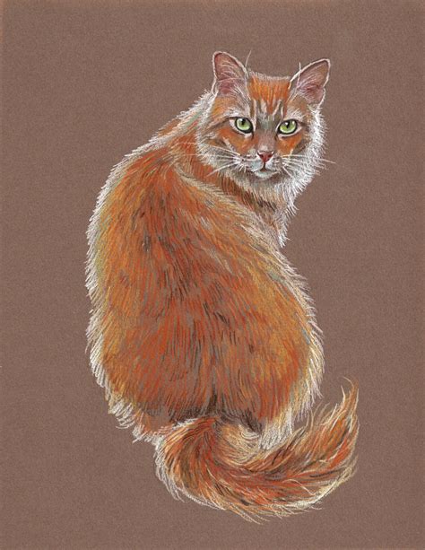 Draw the Perfect Cat with These Easy Colored Pencil Tips