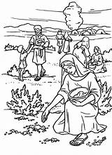 Bible Pages Of Manna And Quail Coloring sketch template
