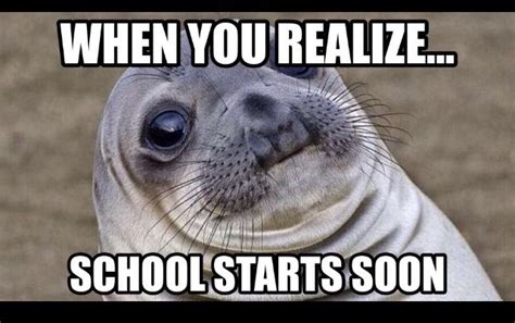 School.. | Funny pictures, Funny animals, Animal memes