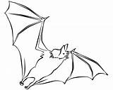 Free Printable Bat Coloring Pages For Kids sketch template