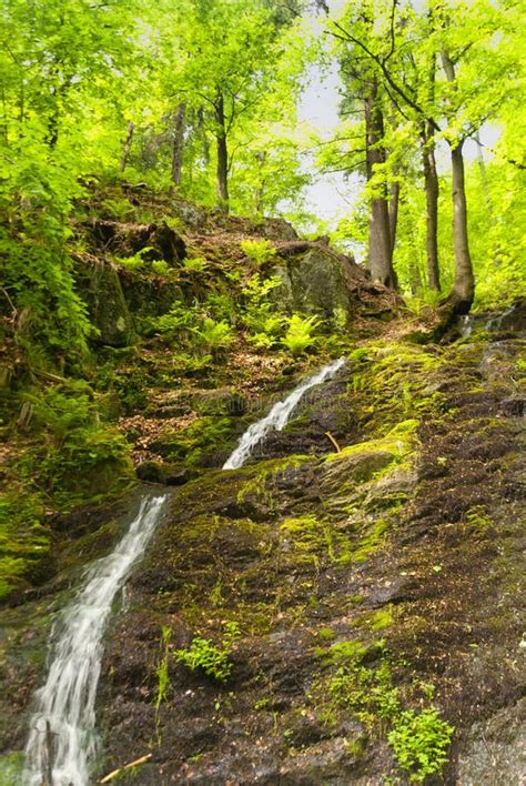 Waterfall in the Thuringian Forest Stock Photo - Image of thuringian ...