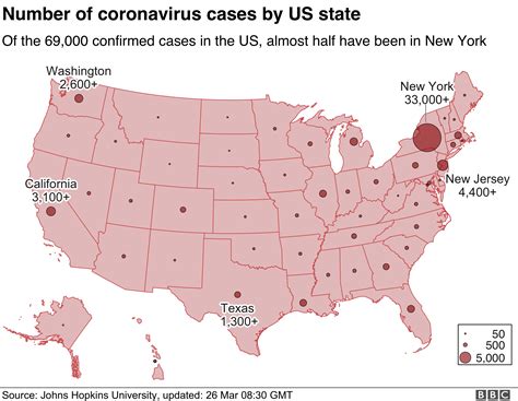 Coronavirus: A snapshot of American life under lockdown - BBC News