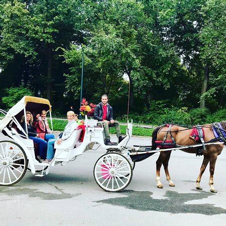 Central Park Carriage Tours (New York City) - 2019 All You Need to Know ...