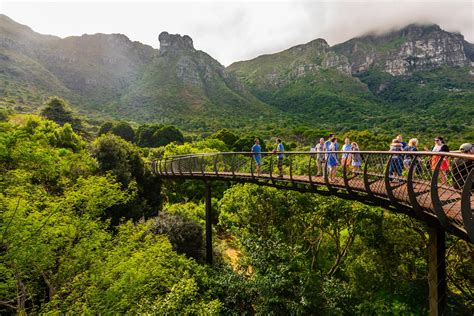 Alan Titchmarsh: Why Kirstenbosch is the gardener's garden