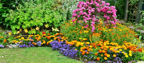 Low Maintenance Flower Bed Ideas | ABC Blog