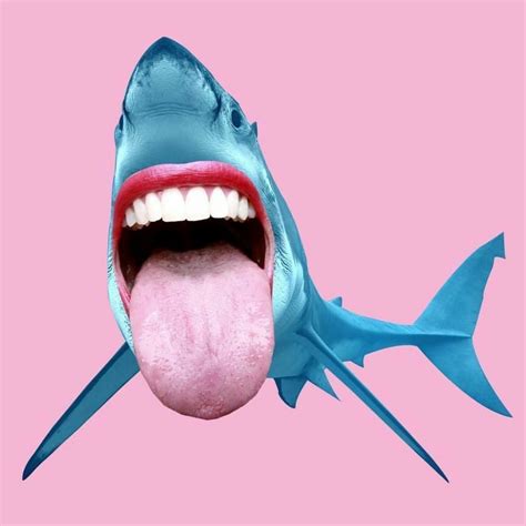 Tongue Out Shark | Collage art, Magazine collage, Surreal art