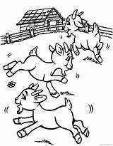 Goat Coloring Pages Animal Printable Sheets goat Cl 04 2021 2449  sketch template