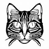 Whiskers And Paws Coloring Page · Creative Fabrica sketch template