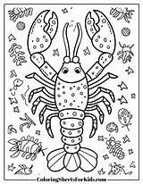 Lobster Coloring Pages Free Printables  Sheets For Kids sketch template