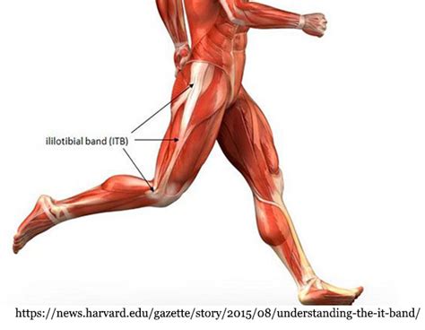 Is your IT band causing you knee pain?