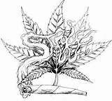 Stoner Drawings At PaintingValleycom  Explore Collection Of sketch template