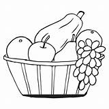 Fruit Basket Coloring Pages  Fun Free & Printable sketch template