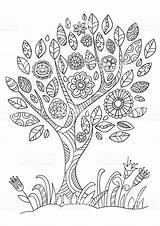 Adult Coloring Pages Trees sketch template