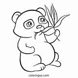 Panda Coloring Pages Free Printable PDF sketch template
