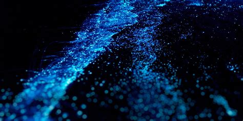 Let these bioluminescent sea organisms soothe you into the weekend | HelloGiggles