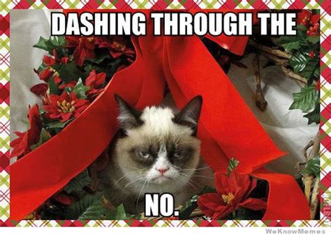 20 Funny Christmas Memes for the Holiday