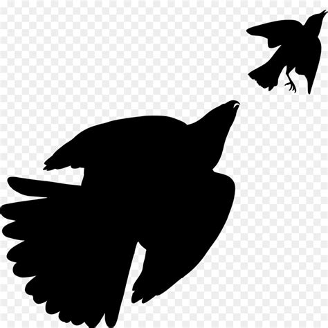 Free Bird Wing Silhouette, Download Free Bird Wing Silhouette png ...