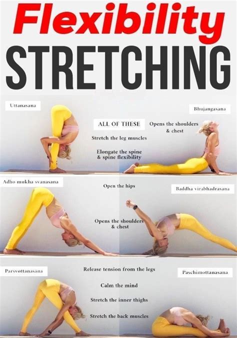 6 Stretches to improve your flexibility | Flexibility workout, Flexibility tips, Exercise