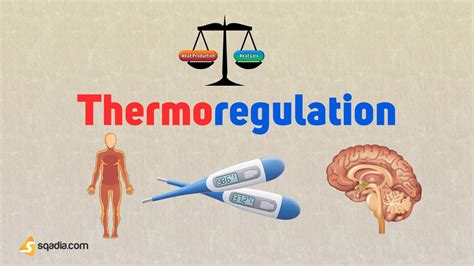 Thermoregulation - Introduction