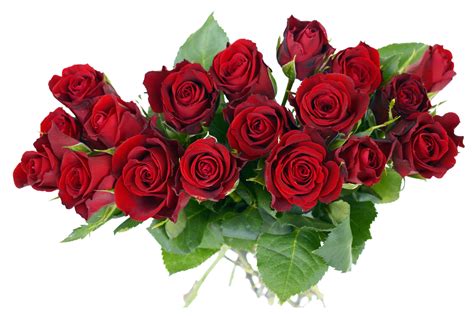 Rose Bouquet PNG Image - PurePNG | Free transparent CC0 PNG Image Library