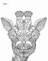 10 Toothy Adult Coloring Pages Printable  Off The Cusp sketch template