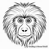 Baboon Coloring Pages  Free & Printable sketch template