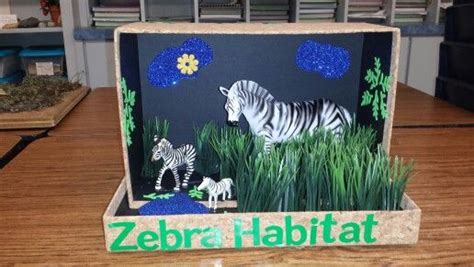 Zebra habitat | Kid stuff | Pinterest | Zebras and Habitats