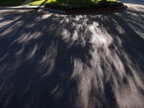 leaves shadows during solar eclipse | Art inspiration, Shadow, Solar ...