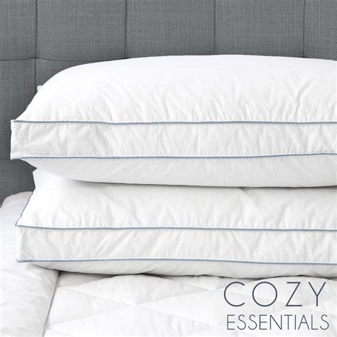 Cozy Essentials Cozy Essentials Jumbo Cooling Gusseted Pillow in the ...