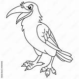 Black Crow Coloring Page sketch template