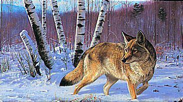 Eastern Coyote - Painting Art by Robert Kray | Wildlife paintings, Art ...