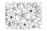 Floral Coloring Page Book For Adults Graphic By Stromgraphix · Creative  sketch template