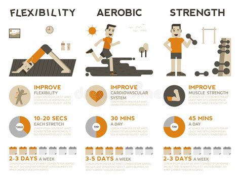 Training Exercises: Flexibility Exercises Training