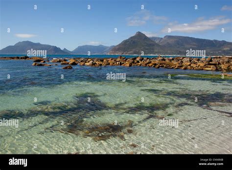 Kommetjie beach, Kommetjie, Western Cape, South Africa Stock Photo - Alamy