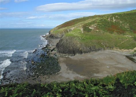 New Quay to Cwmtydu Ceredigion Coastal Walk - Mud and Routes